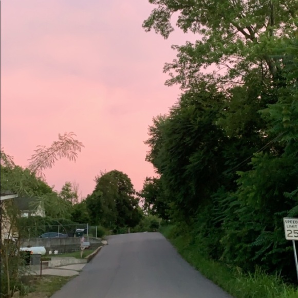 Meet your Posher, Chloe - Picture 5 of 5